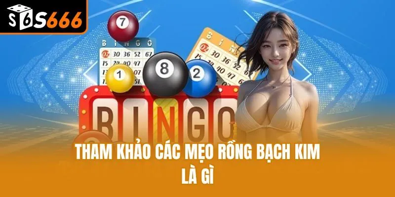 Rồng Bạch Kim Là Gì? Lý Do Nhiều Lô Thủ Tin Tưởng Lựa Chọn Tham khảo các mẹo rồng bạch kim là gì